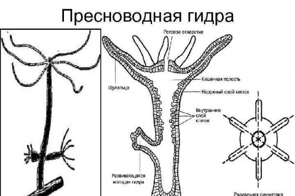 Как восстановить страницу на кракене